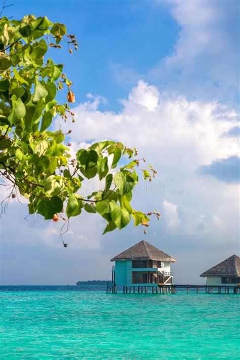 Water Villas Bungalows In The Maldives Stock Image Image Of Beach
