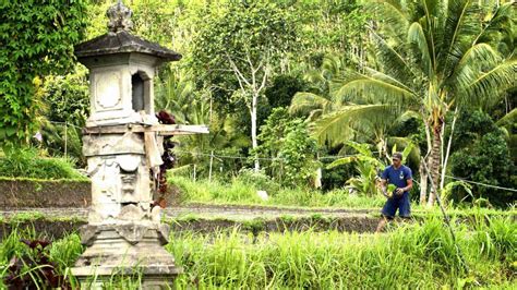 Tri Hita Karana The Balinese Philosophy Of Life Volunteer Programs Bali