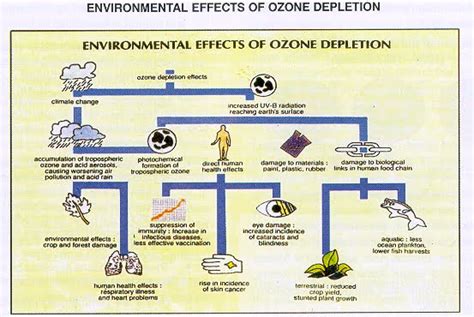 This Picture Shows The Effects Of The Loss Of Ozone Ozone Layer