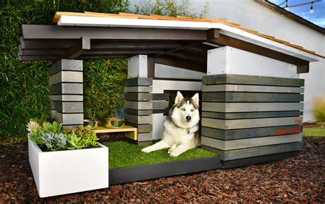 Modern dog houses, Cool dog houses, Dog house diy