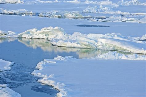 Committee In Uk Says Arctic Drilling Should Stop Marine Science Today