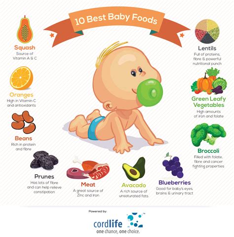 10 Best Baby Foods Infographics