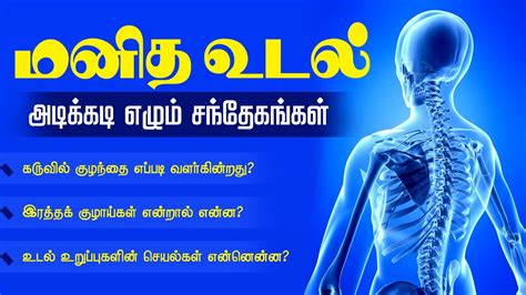 After the body parts lesson in tamil, which we hope you enjoyed; Lets Learn How The Human Body Works | Human Body System and Function in Tamil Part -1 - YouTube