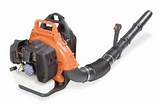 Pictures of Gas Electric Leaf Blower