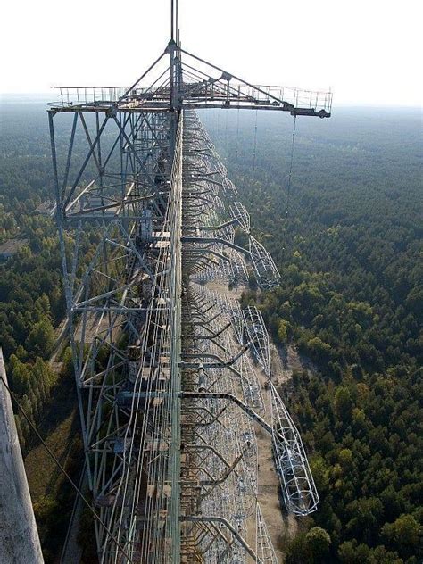 Einige dieser pflanzen sind auch nicht winterhart und müssen frostfrei über den winter gebracht werden. Mutationen durch Tschernobyl-Katastrophe (Seite 3 ...