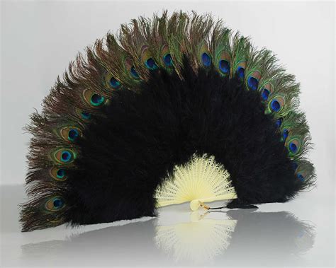 Single Row Peacock Fans Black Clothing