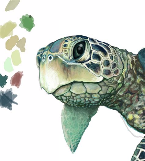 Items similar to just swim, sea turtle watercolor painting, watercolor and colored pencil print on etsy. sea turtle drawing | Everything turtles | Pinterest ...