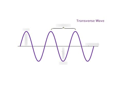 Draw And Label A Diagram Of A Transverse Wave Diagram Quizlet