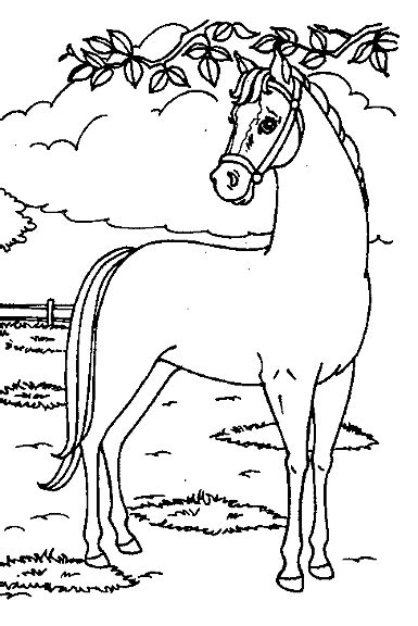 Kinderpleinen (PAARDEN Kleurplaten)