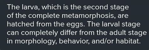 The Second Stage Of Metamorphosis Is Brainlyph