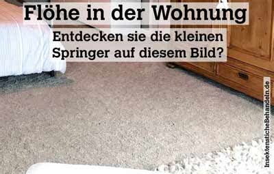 Für die flohbekämpfung gibt es eine vielzahl unterschiedlicher flohmittel, die mehr oder weniger schnelle hilfe versprechen. Flohbisse beim Menschen, was tun gegen Flöhe, Flohstiche ...