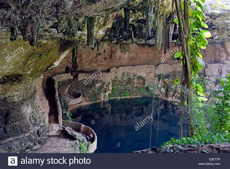 Cenote Zaci Valladolid Yucatan Mexico Stock Photo