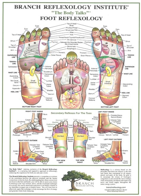 Pin By Helen Johnson On Benefits Of Massage Foot Reflexology