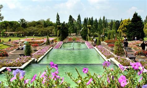 Taman Bunga Nusantara Objek Wisata Kekinian Di Cianjur Itrip