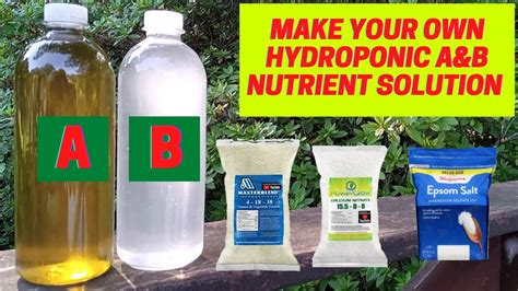 Make Your Own Hydroponic Nutrient Solution At Home Hydroponic