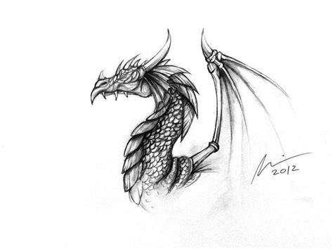 Dragon Profile By Perilousrealms D5hfovy By Perilousrealmsdeviantart