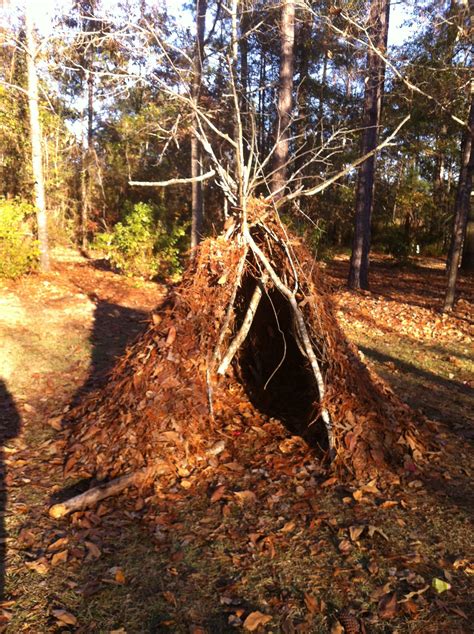 Always Wanted To Build A Stick Fort Now I Have Wilderness Survival