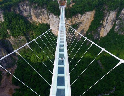 Zhangjiajie Grand Canyon Glass Bridge China Average Joes