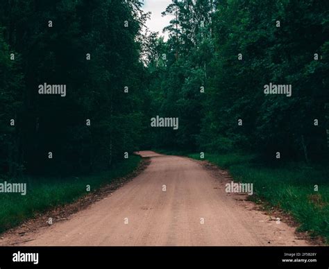 Summer Country Road With Trees Beside Concept Stock Photo Alamy