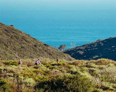 Laguna Beach S Top Trails For Hiking Biking And Running Beach Tops Laguna Beach Hiking