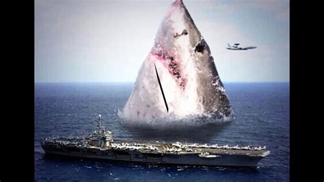 Worlds Largest Shark Animal Ever Caught On Camera The Megalodon Video
