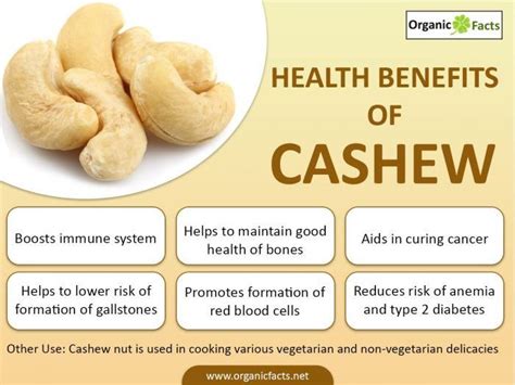 9 Powerful Benefits Of Cashews Cashews Benefits Health Holistic