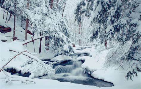 Wallpaper Winter Forest Snow Trees Stream The Snow River Images