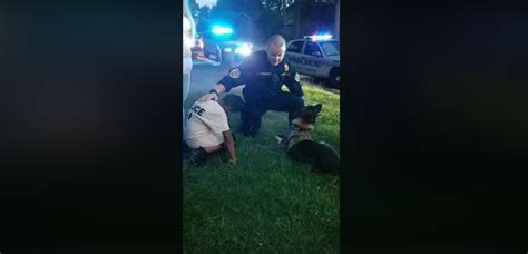 Binta is friendly and always want to curdle around you but the sad thing about this dog is that it has been suffering from a brain tumour three years ago. 'We Cry Out to You Right Now Lord Jesus!': Police K9 Unit ...