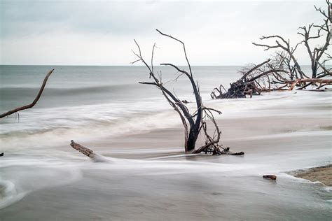 Botany Bay Sweep Photograph By Darrell Hutto