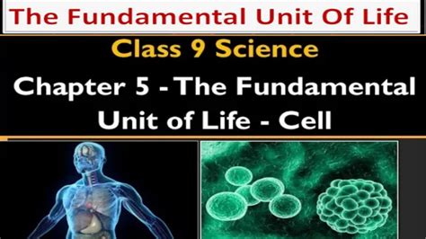 Fundamental Unit Of Life Class 9 Sciencechapter 5biologycbse Ncert