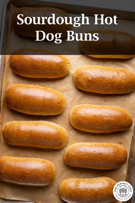 Homemade Hot Dog Buns The Perfect Loaf Hot Dog Buns Hot Dog Buns