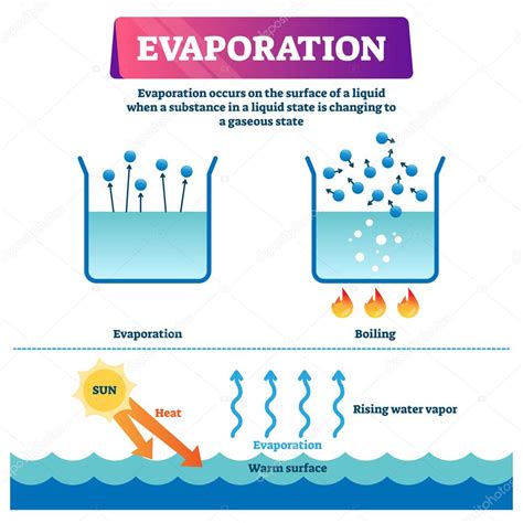 Evaporation Vector Illustration Labeled Liquid Surface Substance