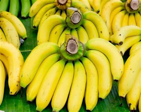 Buy Yelakki Banana From Uttara Kannada At Wholesale Price Of Rs 45kg
