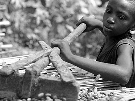 Child Labour Cocoa Ivory Coasts Child Labor Behind Chocolate The