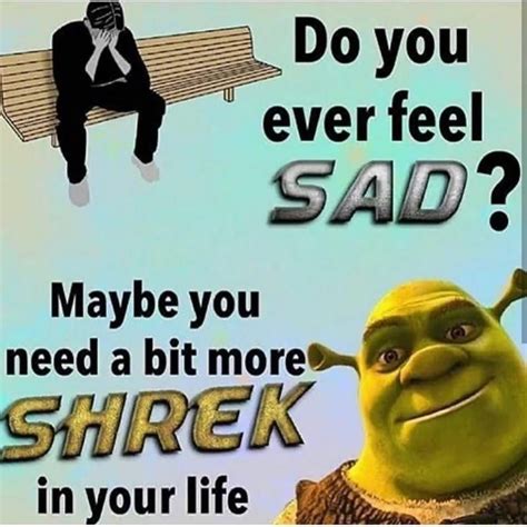 Shrek Memes Dankest Memes Jokes Stupid Funny Memes Hilarious