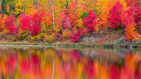 Autumn Reflections Gryphon Lake Espanola Ontario Canada Free