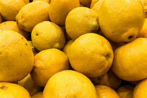 Free Stock Photo of Group of Yellow Lemons