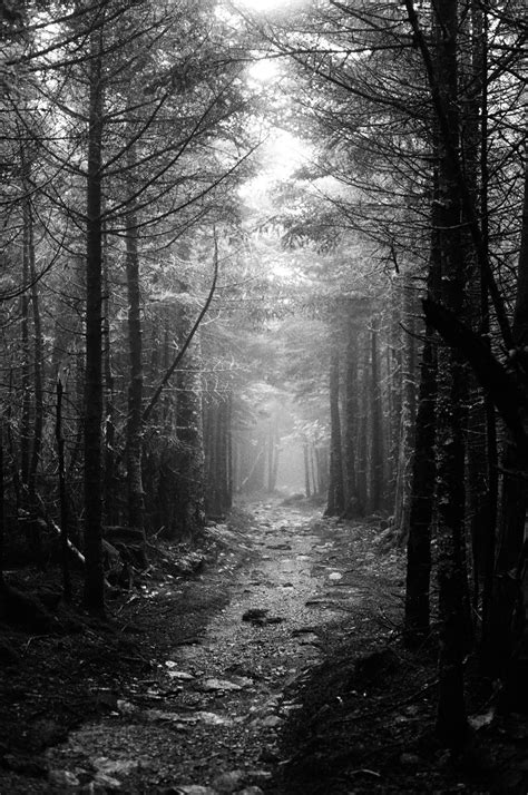 421 Best Forest Path Images On Pholder Most Beautiful Earth Porn And Battlemaps