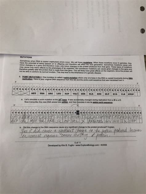 Investigation dna proteins and mutations worksheet. Solved: MUTATIONS Sometimes When DNA Is Copied (replicated ...