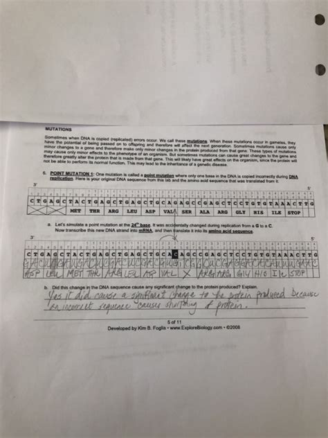 Dna (deoxyribonucleic acid) is the information storage system of the body. Hotmen: Mutations And Protein Synthesis Biology Worksheet ...
