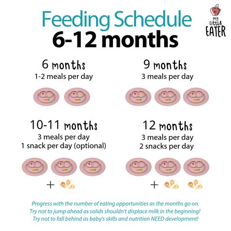 Feeding Schedules 6 12 Months My Little Eater