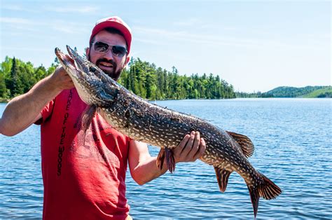 We did not find results for: Gunflint Trail Lodging & Canoe Outfitters | Clearwater ...