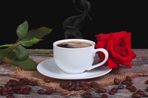 Find over 100+ of the best free coffee flowers images. Red Rose and Coffee Background | Gallery Yopriceville ...