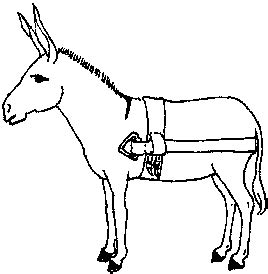 We did not find results for: Donkey Cartoon Drawing at GetDrawings | Free download