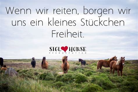 Die freiheit, die den sinn erkennt. Wenn wir reiten, borgen wir uns ein kleines Stückchen ...
