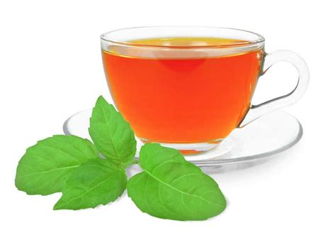 11 Amazing Benefits Of Basil Tea Natural Food Series