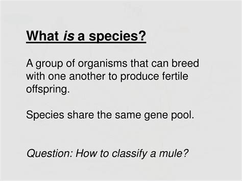 Ppt How Do New Species Arise Speciation Powerpoint Presentation