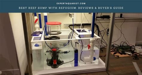 Best Reef Sump With Refugium Reviews And Buyers Guide Expert Aquarist