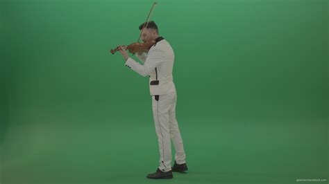 Full Size Classic Orchestra Man In White Wear Play Violin Strings Music