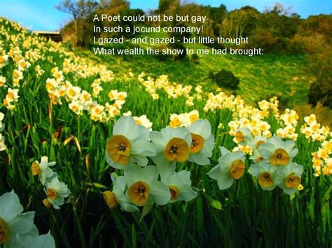 The Daffodils By William Wordsworth Online Presentation